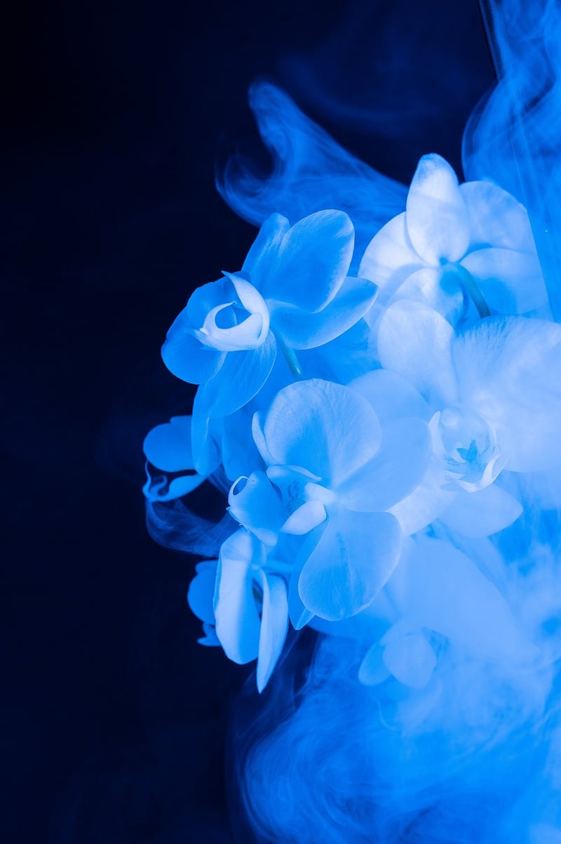 Fantasy Floral